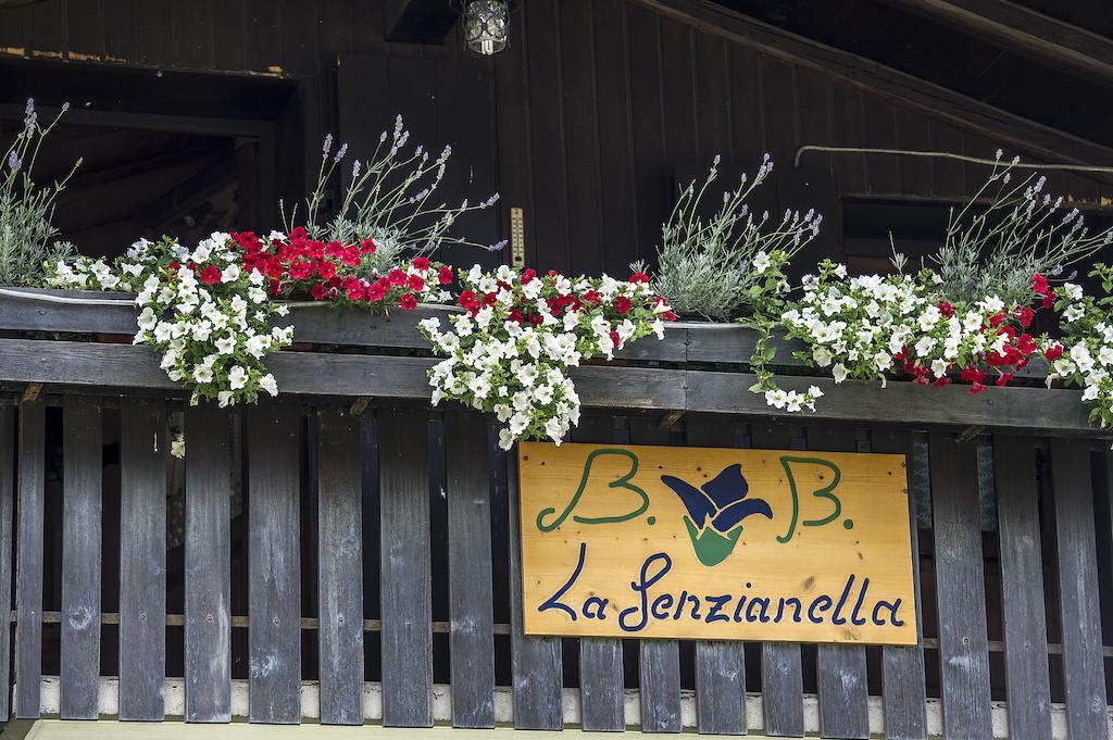 B&B La Genzianella Perarolo di Cadore Exterior photo